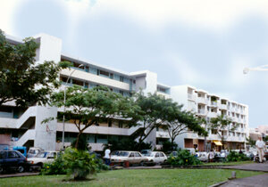 Apartment buildings among trees in the French Caribbean